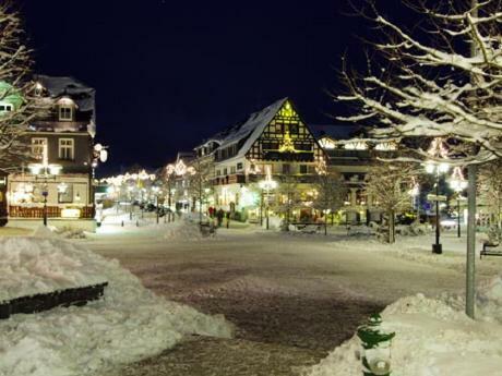 Stadtwohnung Schneeflocke Вінтерберг Екстер'єр фото